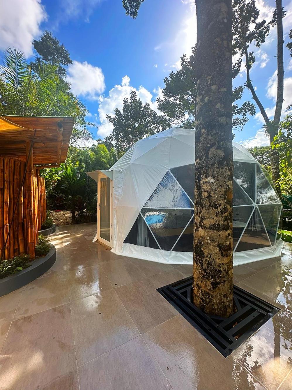 Palo Alto Glamping Hotel Quesada  Chambre photo